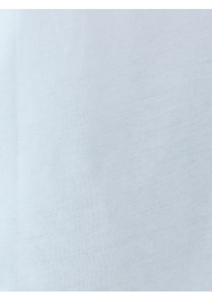 Regular Fit Erkek Tshirt K.kol