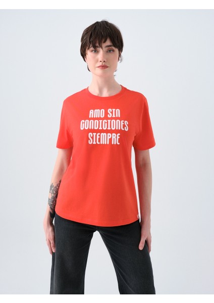 Regular Fit Kadın Tshirt K.kol