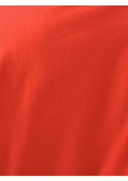 Regular Fit Kadın Tshirt K.kol