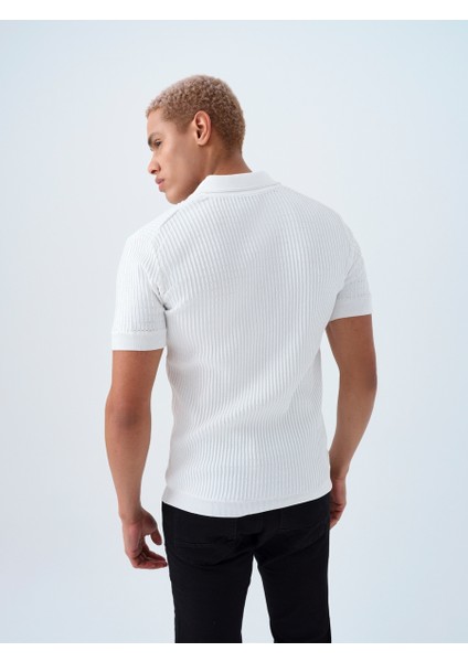 Regular Fit Erkek Polo K.kol