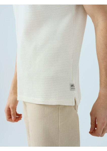 Regular Fit Erkek Polo K.kol