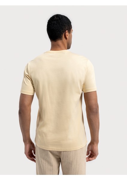 Regular Fit Erkek Tshirt K.kol
