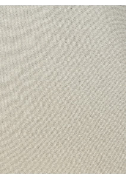 Regular Fit Erkek Tshirt K.kol