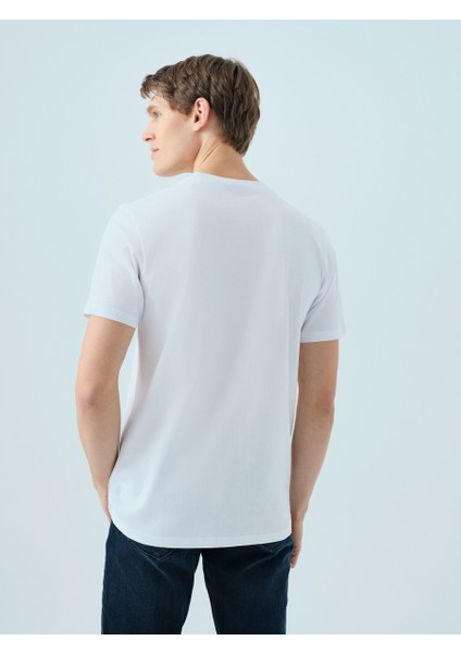 Regular Fit Erkek Tshirt K.kol