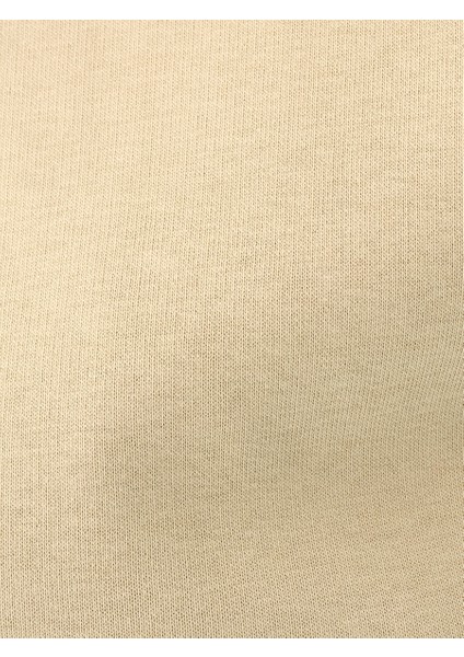 Regular Fit Erkek Sweatshirt