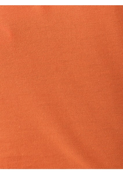 Regular Fit Erkek Polo K.kol