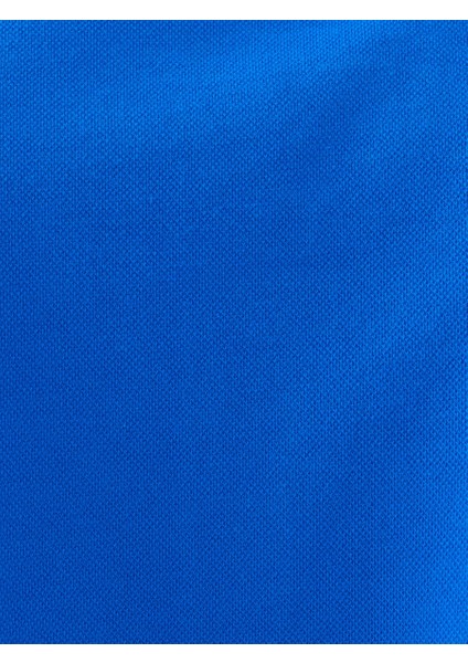 Regular Fit Erkek Polo K.kol