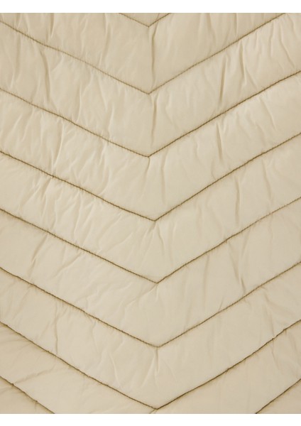 Erkek LF2033231 Mnt Stone