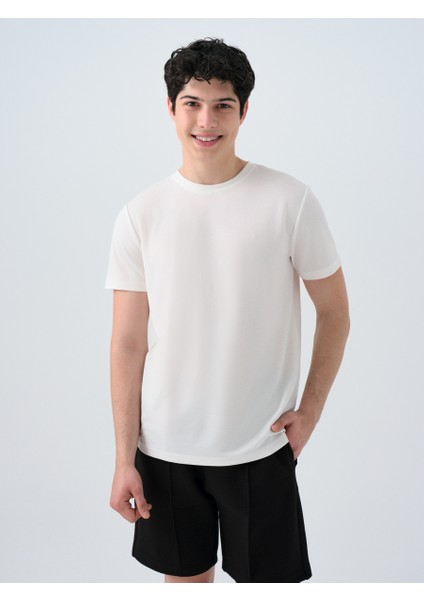 Regular Fit Erkek Tshirt K.kol