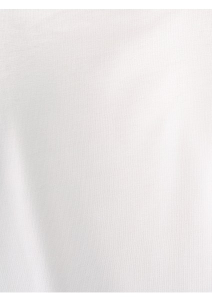 Regular Fit Erkek Tshirt K.kol