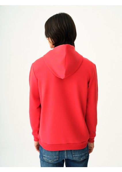 Regular Fit Erkek Sweatshirt