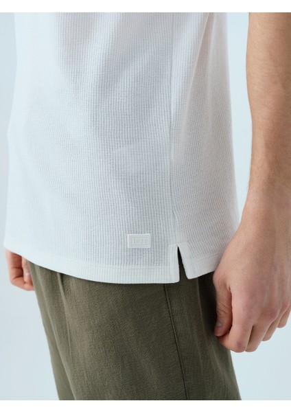 Regular Fit Erkek Polo K.kol