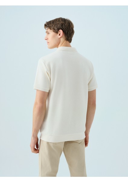 Regular Fit Erkek Polo K.kol