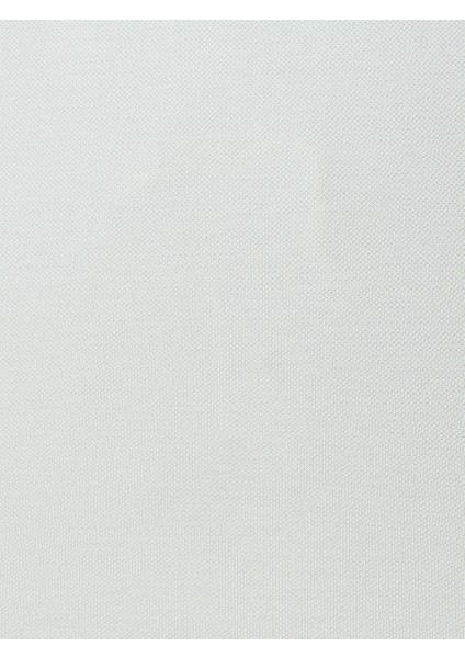 Regular Fit Erkek Polo K.Kol