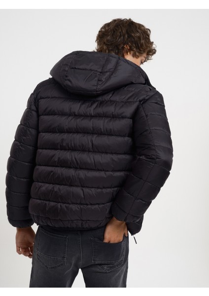 LF2033075-FW Erkek Mont