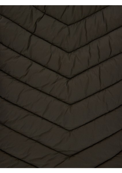 Erkek Mont LF2033231