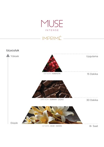 Muse Intense Edp Kadın Parfüm 50 ml | Çiçeksi & Gurman | Frenk Üzümü, Çikolata, Vanilya, Pralin fırsatları