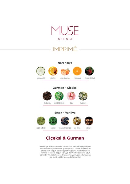 Muse Intense Edp Kadın Parfüm 50 ml | Çiçeksi & Gurman | Frenk Üzümü, Çikolata, Vanilya, Pralin indirimleri