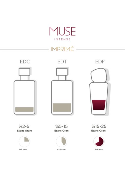 Muse Intense Edp Kadın Parfüm 50 ml | Çiçeksi & Gurman | Frenk Üzümü, Çikolata, Vanilya, Pralin