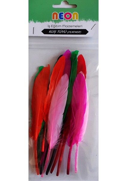 - Kuştüyü-16 cm -Kuş Tüyü Renkli 12 Li 1 Paket 16 cm Tüy Karışık Renk - Hobi - Okul Öncesi Kreş Anasınıfı Kuş Tüyü Renkli modelleri