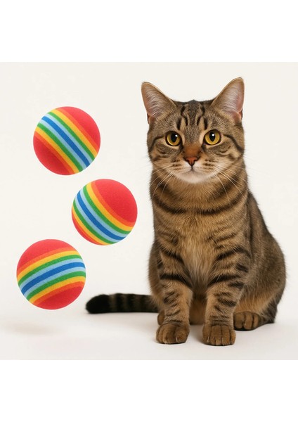 3’lü Gökkuşağı Sünger Kedi Köpek Oyun Topu | 4,2 cm Çiğneme ve Interaktif Oyuncak