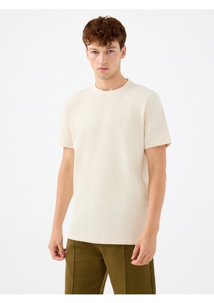 Regular Fit Erkek Tshirt K.kol