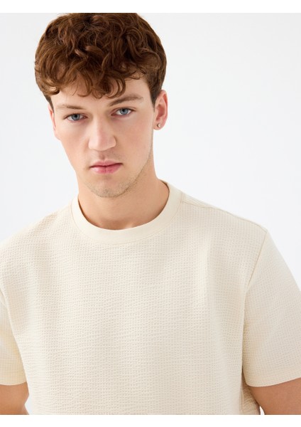 Regular Fit Erkek Tshirt K.kol fırsatları