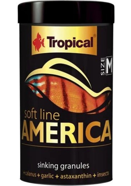 Soft Line America Size M 250 Ml/150 Gr fiyatları