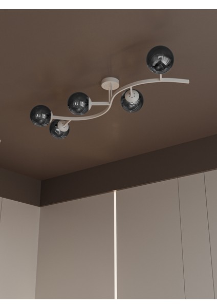 Noria Modern Beyaz Metal Gövdeli 5’li Füme Renk Cam Küre Avize | Tavan Aydınlatma Avize Modeli fiyatları