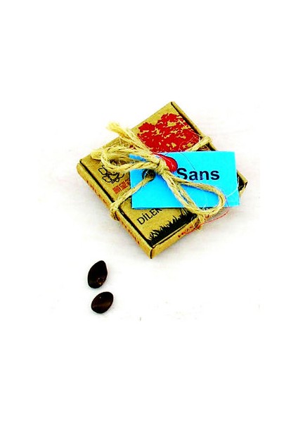 Dilek Tohumları Şans