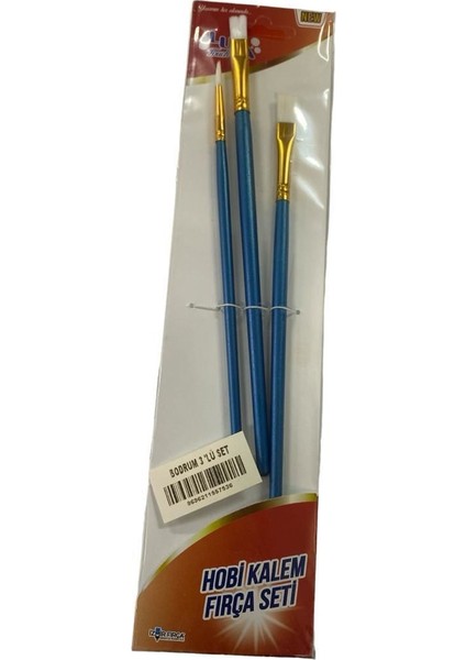 Luna Bodrum Hobi Kalem Fırça Seti 3 Parça