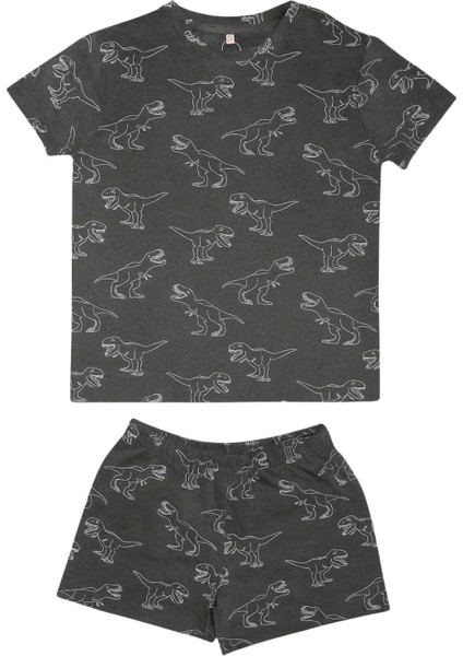 2'li Pijama Takımı - Dinoland
