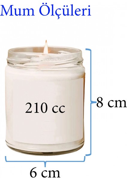 Doğal Özel Seri Kokulu Dekoratif Kavanoz Mum 210 cc - Çam Esansı - fiyatları