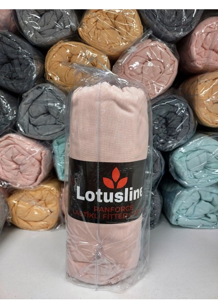 Ranforce Fitted Lastikli Battal Çift Kişilik Çarşaf Seti (180X200+30)-PUDRA