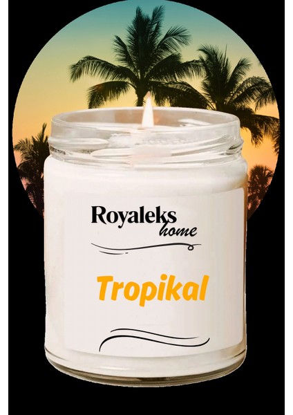 Doğal Özel Seri Kokulu Dekoratif Kavanoz Mum 210 cc - Tropikal Esans -