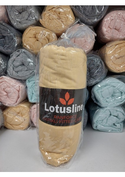 Ranforce Fitted Lastikli Battal Çift Kişilik Çarşaf Seti (180X200+30)-SARI