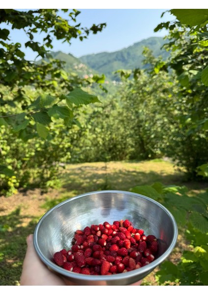 Dağ Çileği Reçeli modelleri