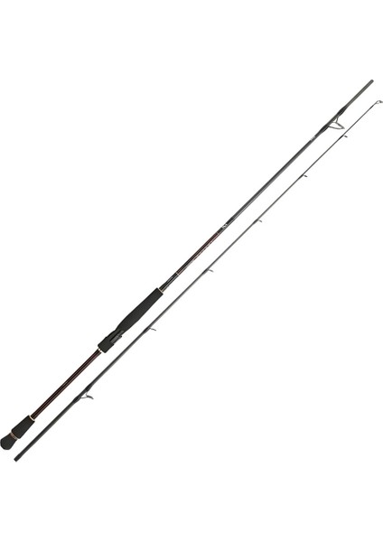 Infeet Seabass 2.44M 14-42GR 2p Kamış