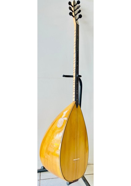 Profesyonel Uzun Sap Dut Bağlama