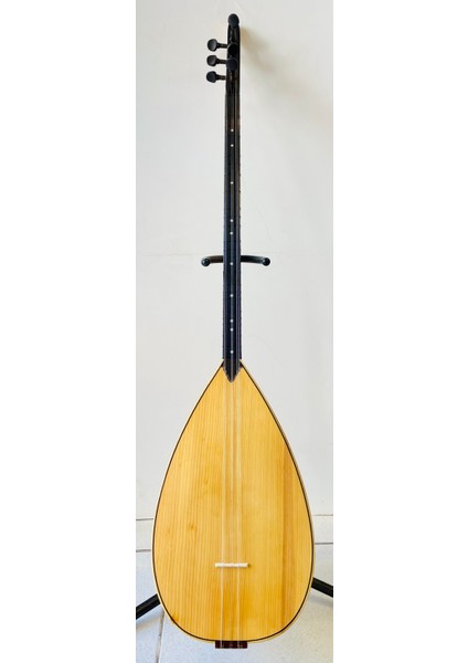 Profesyonel Uzun Sap Dut Bağlama modelleri