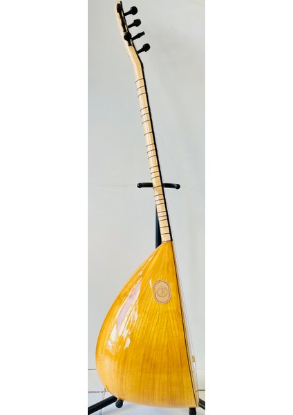 Profesyonel Uzun Sap Dut Bağlama fırsatları