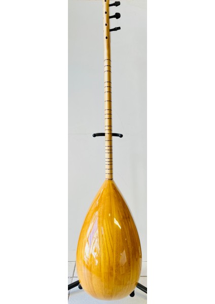 Profesyonel Uzun Sap Dut Bağlama indirimleri