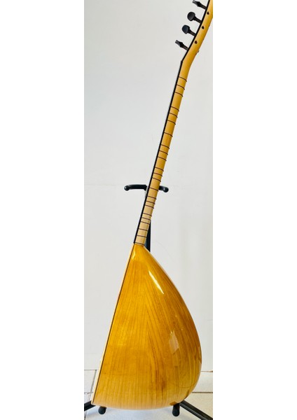 Profesyonel Uzun Sap Dut Bağlama