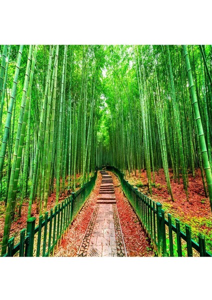Bambu Orman Desenli Silinebilir Sağlıklı Tekstil Duvar Kağıdı fırsatları