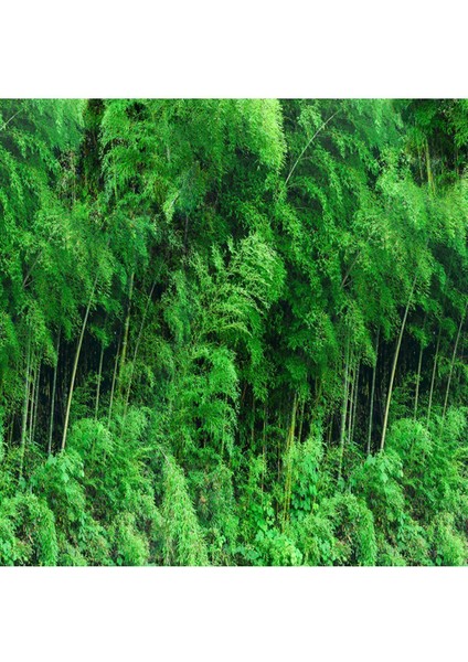 Yeşil Orman Desenli Silinebilir Sağlık Dostu Tekstil Duvar Kağıdı fırsatları