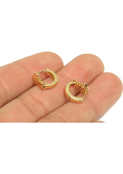 18K Altın Kaplama Mini Balık Halka Küpe fiyatları