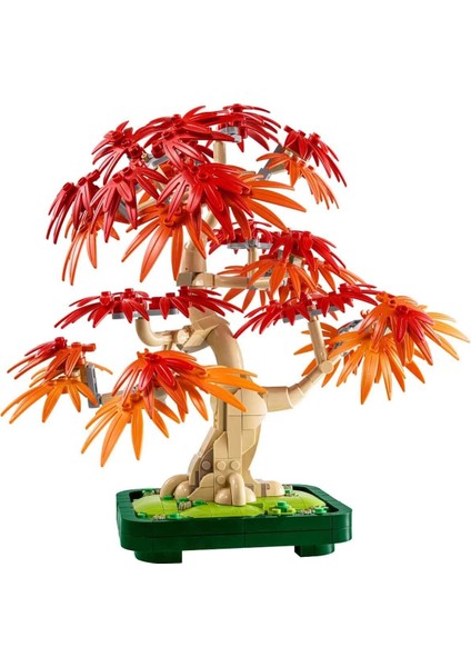 Botanicals Japon Kırmızı Akçaağaç Bonsai Ağacı 10348