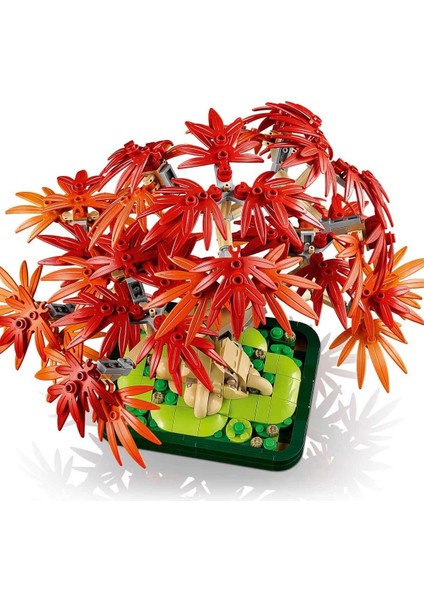 Botanicals Japon Kırmızı Akçaağaç Bonsai Ağacı 10348 fiyatları