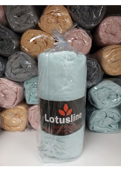 Ranforce Fitted Lastikli Battal Çift Kişilik Çarşaf Seti (180X200+30)-MINT