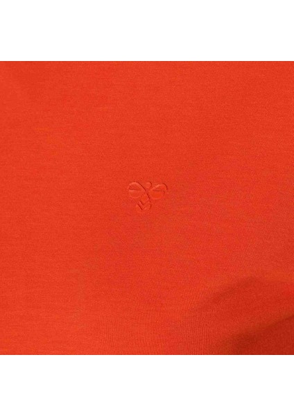 Allessıa Crop T-Shırt S/s Kadın Kısa Kol T-Shırt 912067-5022